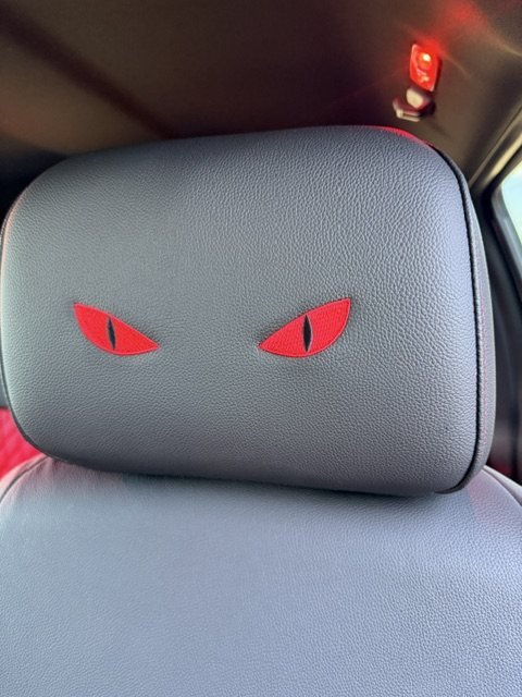 Embroidered red eyes on a headrest